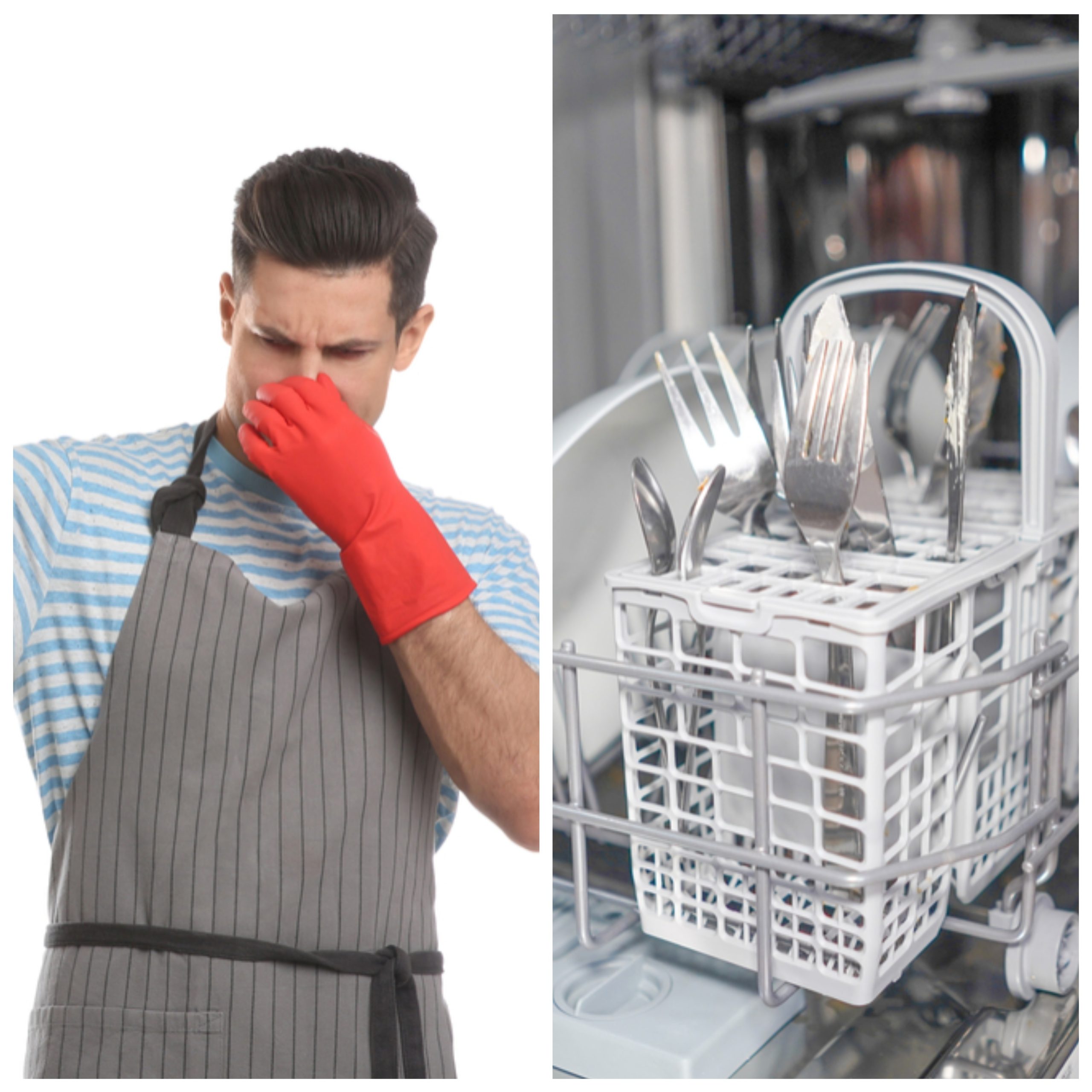 My Dishwasher Smells Funky – Troubleshooting for the DIY